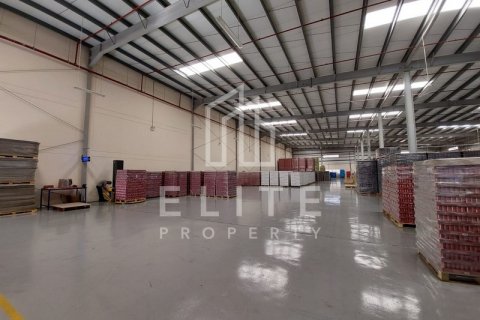 Warehouse in Dubai, UAE 5478 sq.m. № 620282 - photo 7