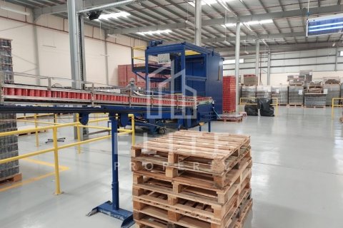 Warehouse in Dubai, UAE 5478 sq.m. № 620282 - photo 11