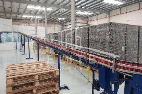 Warehouse in Dubai, UAE 5478 sq.m. № 620282 - photo 12
