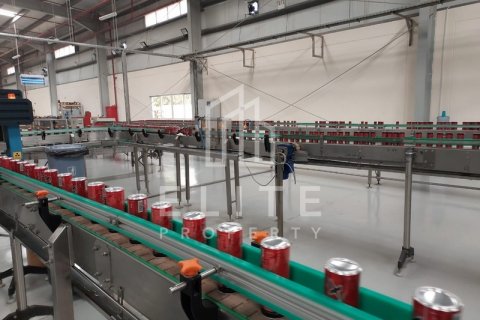 Warehouse in Dubai, UAE 5478 sq.m. № 620282 - photo 10