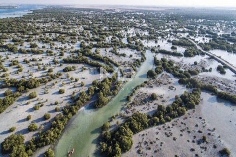 Pozemek v Abu Dhabi, SAE 1199.9 m² Č.: 555158 - fotografie 17
