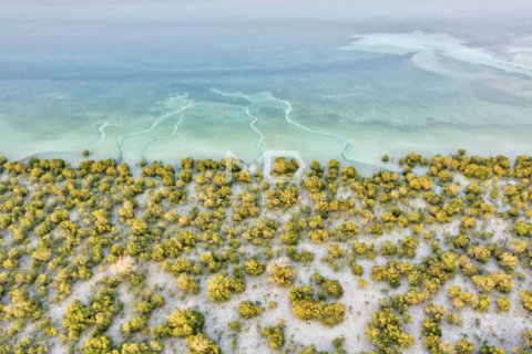 Pozemek v Abu Dhabi, SAE 1199.9 m² Č.: 555158 - fotografie 21