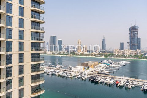 阿联酋 Dubai Dubai Harbour 待租 : 3 卧, 195 平方米 , 编号628166 - 照片 21
