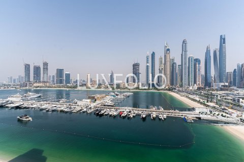 阿联酋 Dubai Dubai Harbour 待租 : 3 卧, 195 平方米 , 编号628166 - 照片 10