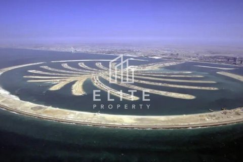 Land in Palm Jebel Ali, Dubai, UAE № 623536 - photo 4