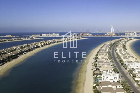 Land in Palm Jebel Ali, Dubai, UAE № 623536 - photo 5