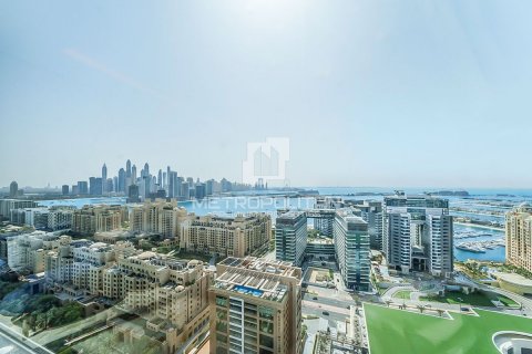 Palm Jumeirah、Dubai、UAE にあるマンションの賃貸物件 56 m2、No592935 - 写真 26