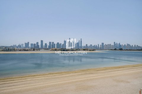 Vilë në Palm Jumeirah, Dubai, Emiratet e Bashkuara Arabe 5 dhoma gjumi, 512 m2. № 593627 - Foto 24