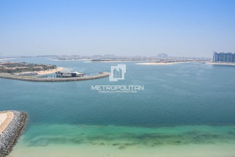 Dubai Harbour、Dubai、UAE にあるマンションの賃貸物件 2ベッドルーム、108 m2、No593269 - 写真 23