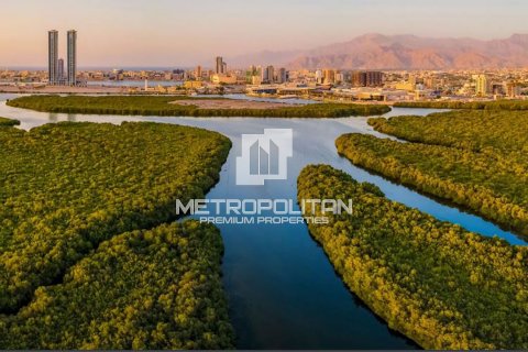 Apartment in Mina Al Arab, Ras Al Khaimah, UAE 1 bedroom, 100 sq.m. № 593177 - photo 12