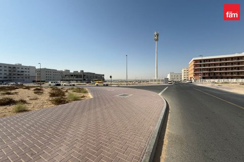 Land in Dubai, UAE 1715.3 sq.m. № 582762 - photo 19