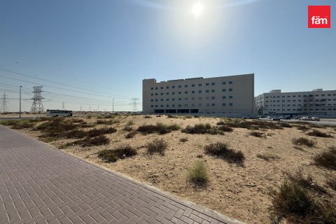 Land in Dubai, UAE 1715.3 sq.m. № 582762 - photo 6