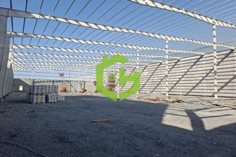 Magazinë në Umm Al Thuoob, Umm Al Quwain, Emiratet e Bashkuara Arabe 3168.2 m2. № 616594 - Foto 4