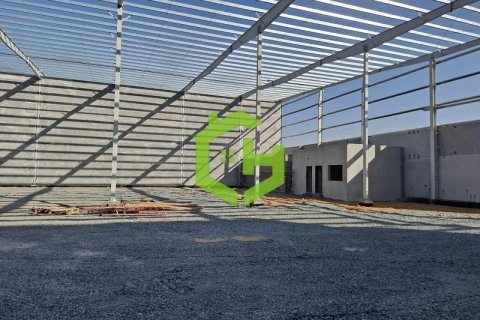Magazinë në Umm Al Thuoob, Umm Al Quwain, Emiratet e Bashkuara Arabe 3168.2 m2. № 616594 - Foto 6