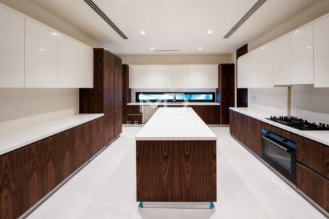 Vila v Abu Dhabi, SAE 6 ložnice, 841 m² Č.: 555165 - fotografie 15