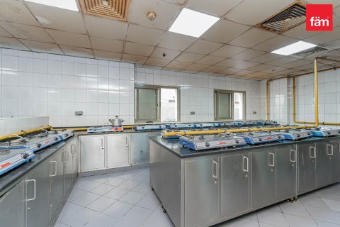 Perumahan pekerja di Dubai, UEA 6856.2 m2 nomor 578028 - foto 12