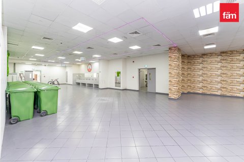 Perumahan pekerja di Dubai, UEA 6856.2 m2 nomor 578028 - foto 5