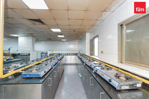 Perumahan pekerja di Dubai, UEA 6856.2 m2 nomor 578028 - foto 14