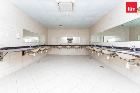 Perumahan pekerja di Dubai, UEA 6856.2 m2 nomor 578028 - foto 30