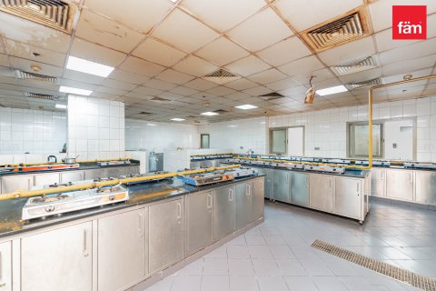 Perumahan pekerja di Dubai, UEA 6856.2 m2 nomor 578028 - foto 15