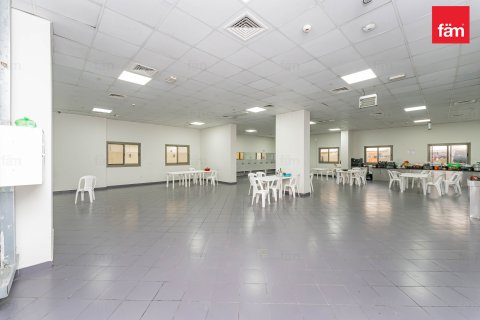 Perumahan pekerja di Dubai, UEA 6856.2 m2 nomor 578028 - foto 6