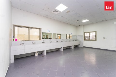 Perumahan pekerja di Dubai, UEA 5388.3 m2 nomor 578023 - foto 10