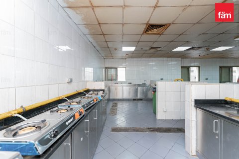 Perumahan pekerja di Dubai, UEA 5388.3 m2 nomor 578023 - foto 15