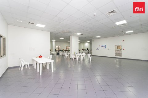 Perumahan pekerja di Dubai, UEA 5388.3 m2 nomor 578023 - foto 6