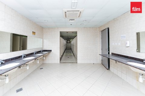 Perumahan pekerja di Dubai, UEA 5388.3 m2 nomor 578023 - foto 24