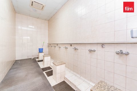 Perumahan pekerja di Dubai, UEA 5388.3 m2 nomor 578023 - foto 9