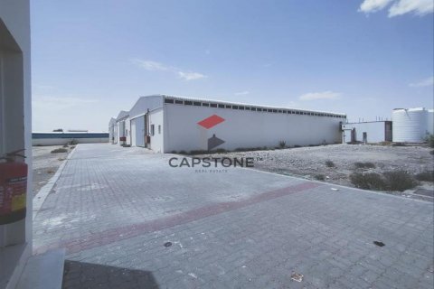 Obchod v Al Ain Industrial Area, SAE 2158 m² Č.: 600955 - fotografie 7