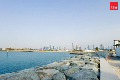 קרקע למכירה ב Dubai, איחוד האמירויות  1978.9 מ"ר, מספר 576493 - תמונה 10