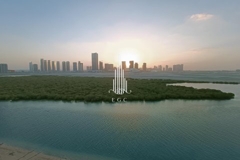 阿联酋 Abu Dhabi Al Reem Island 待售 : 3 卧, 202.4 平方米 , 编号557659 - 照片 29
