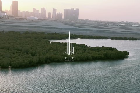 阿联酋 Abu Dhabi Al Reem Island 待售 : 3 卧, 202.4 平方米 , 编号557659 - 照片 3